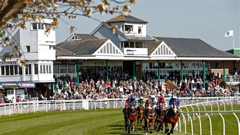 catterick horse racing